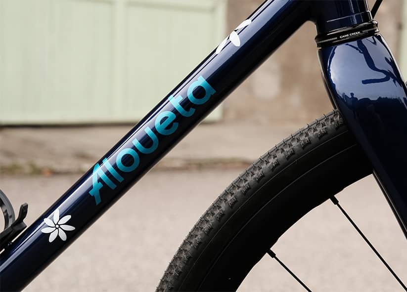 peinture-velo-thaiti